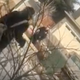 Colorado police officer confronts black man picking up trash around his own house.